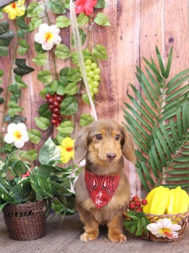 20230820モカくん